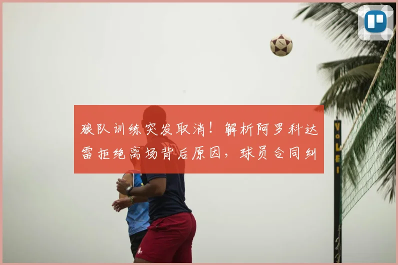狼队训练突发取消！解析阿罗科达雷拒绝离场背后原因，球员合同纠纷如何处理影响几何